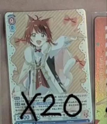 리이누 군 비밀 선물 바이스