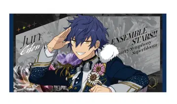 앙스타 스타포니 빅 비주얼 타월 사자나미 쥰