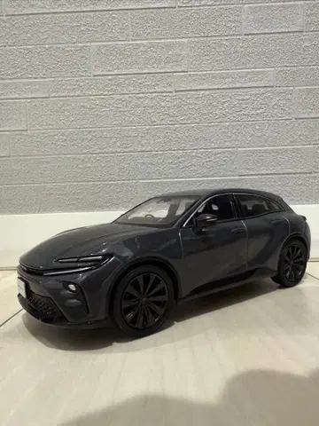 크라운 스포츠 미니카 아쉬