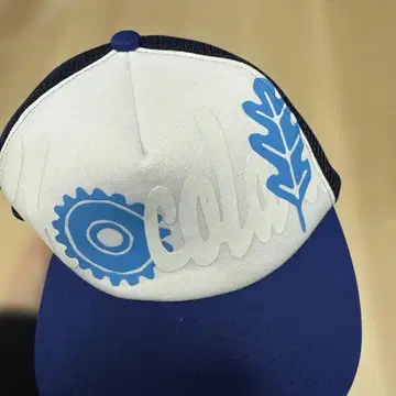 초콜릿 스케이트보드 캡