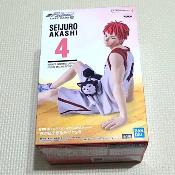 아카시 세이쥬로 & 테츠야 2호