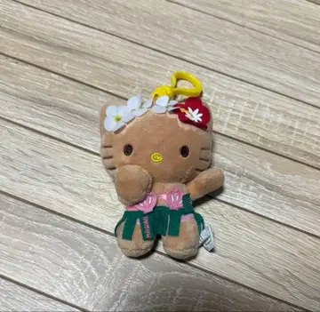 헬로키티 일광화상 하와이 한정판