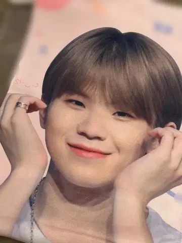 우지 슬로건 마스터 wooahae 세븐틴