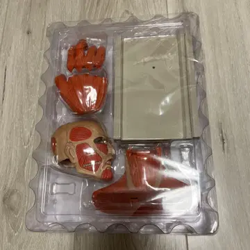 월간 진격의 거인 12 초 대형 거인 피규어 컬렉션 코단샤