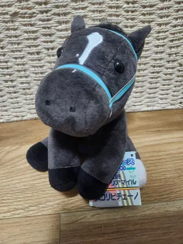 아이돌 호스 [ 아스코리피체노/'25 빅토리아 마일 ] (M 사이즈)