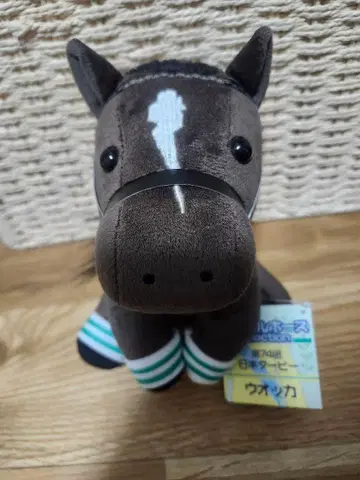 아이돌 호스 [ 우오카/'07 일본 더비 ] (M 사이즈)