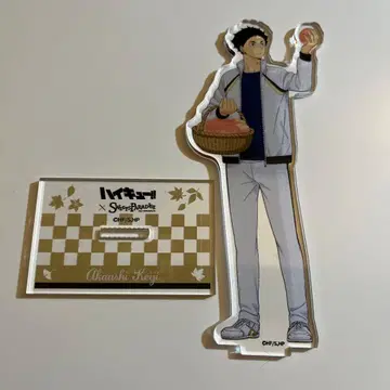 하이큐 아카아시 케이지 아크릴 스탠드 스이파라 콜라보