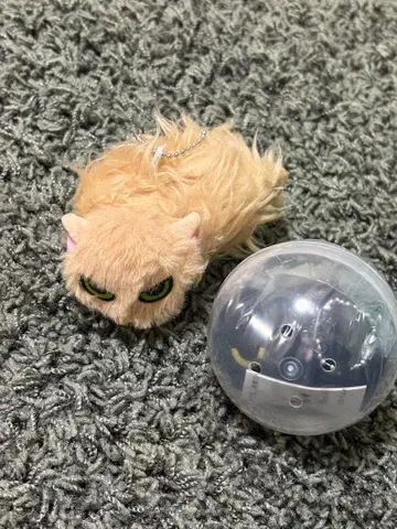 따르지 않는 고양이 가챠가챠