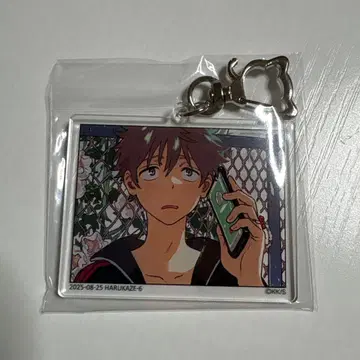 춘풍의 에트랑제 아크릴 키링 키이 칸나