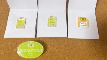 TWICE 핑 배지 네임 배지