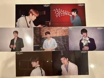 stray kids 스키즈 전시회 엽서 세트 승민