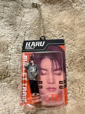 초특급 REAL? 랜덤 블리스터 키링 하루