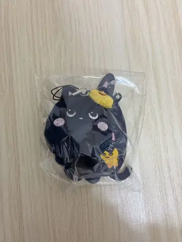 RIIZE 라이즈 원빈 토냥덕 봉제 인형 미니 인형 키링