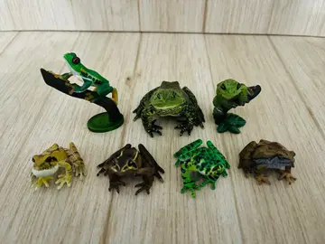 7종 원색 양서류 개구리 도감 신개정판 가챠 생물대도감