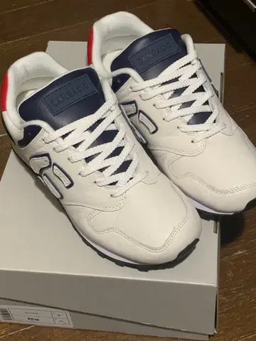 뉴즈 트리콜로르 24cm