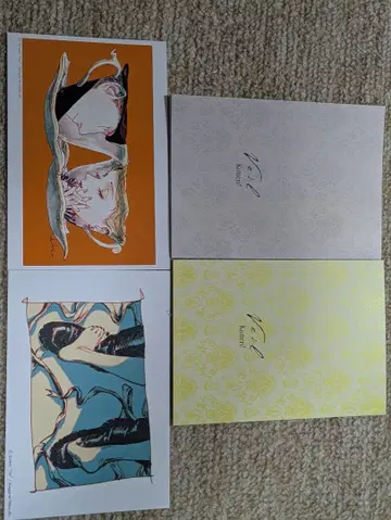 veil kotteri! 구매 혜택 리플렛 & 엽서