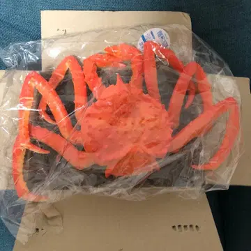 [ 특대형 약 38cm ] 타라바게 액션 피규어 BIG