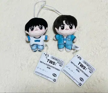 TWS From PLEDIS ENTERTAINMENT 호와누이 2개