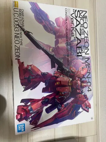 반다이 MG MSN-04 사자비 Ver.Ka