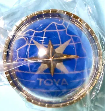 아오야기 토야 프로세카 링 라이트