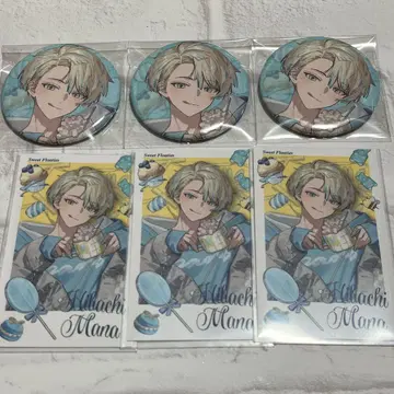 sweet floaties 폴라로이드풍 카드 니지산지 캔뱃지 히바치 마나