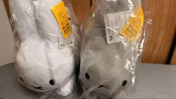 [ 브루나 애니멀 SL 사이즈 봉제 인형 전 2종 ] 2