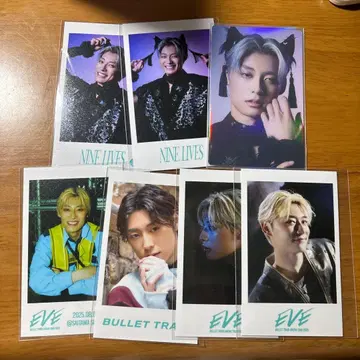 초특급 알로하 트레이딩 카드 미니 사진