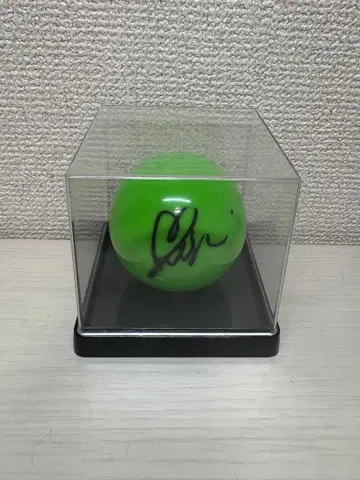 NCTWISH 유우시 군 사인공