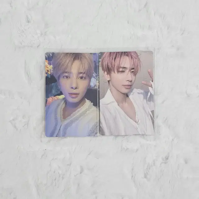 일괄 / 투바투 강태현 슈러라 앨범포카 양도 나잇메어 페어웰 앨포