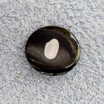 오사카 만박 회장 한정판 EARTH MART 쌀알 배지 EXPO2025