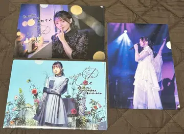 키토 아카리 클리어 파일 묶음 판매