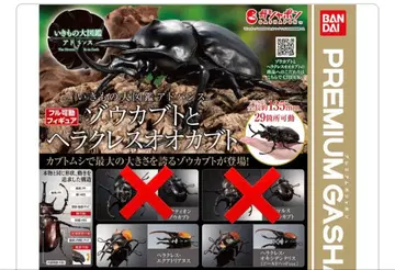 생물대도감 어드밴스 코끼리장수풍뎅이와 헤라클레스 장수풍뎅이 2종 세트