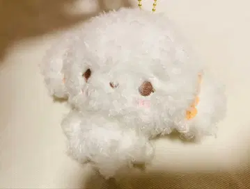 코기뮨 봉제 인형 스탠다드 마스코트