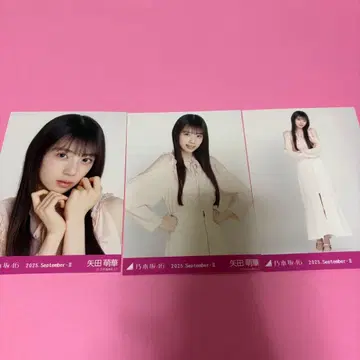 노기자카46 야타 모에카 브로마이드 어깨 트임 상의 컴프