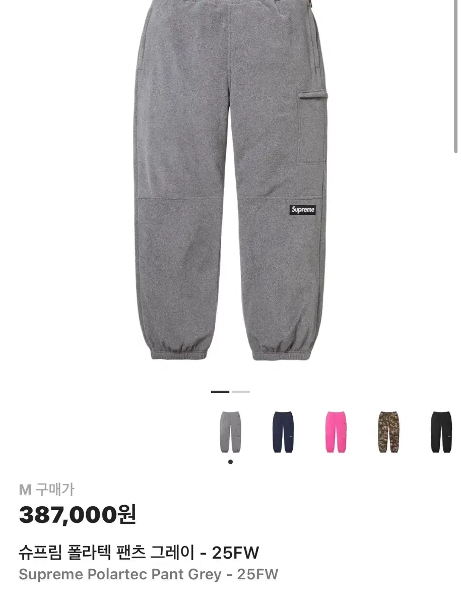Supreme Polartec Pants Gray M Size
