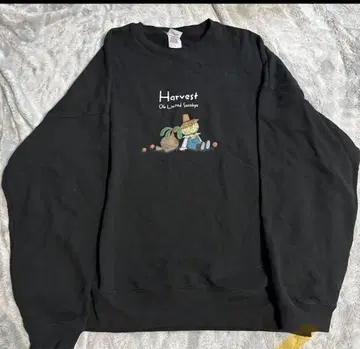 04 Limited Sazabys harvest 맨투맨