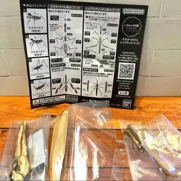 생물대도감 어드밴스 오오카마키리 와 쇼리료밧타 메뚜기(갈색형)