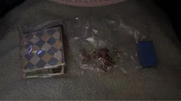 동물의 숲 리멘트 밤돌이 & 콩돌이