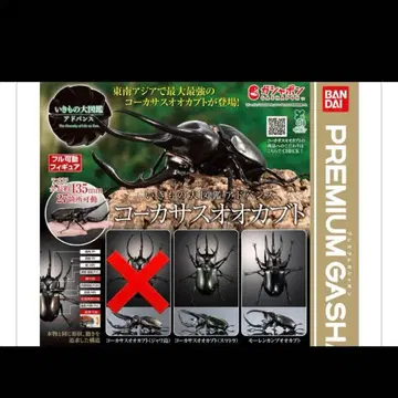 생물대도감 어드밴스 코카서스장수풍뎅이 모렌캄프 2종 세트