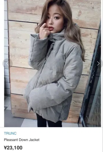 TRUNC88 Pleasant Down Jacket 그레이