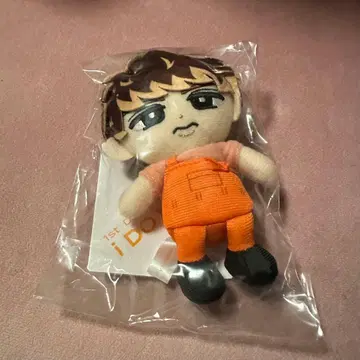 스노치루 무카이 코지