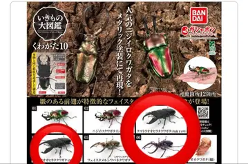 생물대도감 장수풍뎅이 10종 스마트라오오히라타 페이스타멜 3종 세트