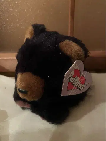 퍼프킨스 곰 봉제 인형