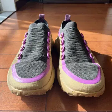 트레일런 SWT Hazy Beige/Lux Purple