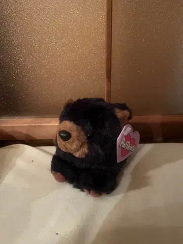 퍼프킨스 곰 봉제 인형