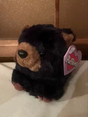 퍼프킨스 곰 봉제 인형