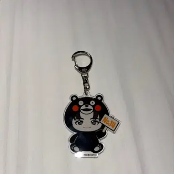 초특급 REAL? 하루곰몬 고토치 아크릴 키링 구마모토