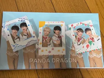 팬더드래곤 폴라로이드 파일 파라곤과 함께