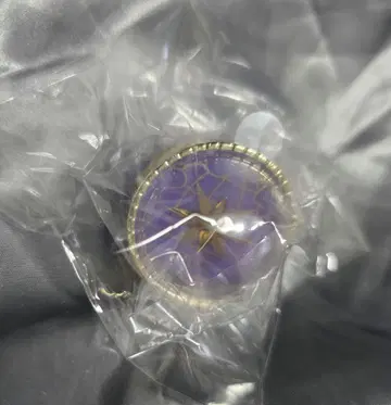 세카라이 프로젝트 세카이 프로세카 링 라이트 카미시로 루이 5th