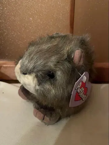 퍼프킨스 다람쥐